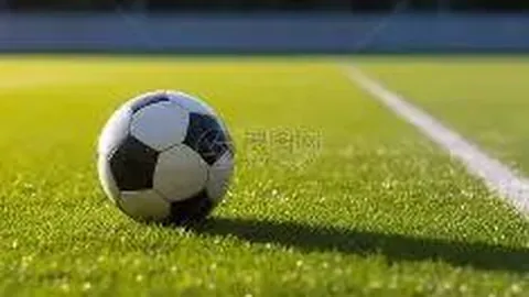 何猷君：星竞威武集团董事长出席商务交流与活动，接受嘉宾咨询